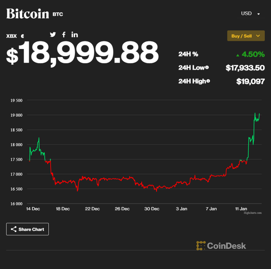 A chart of Bitcoin performance.